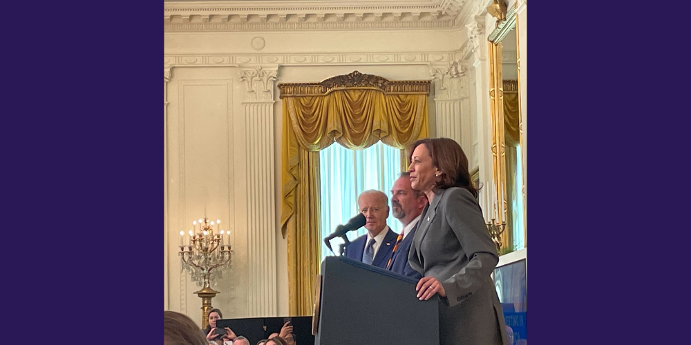 A photograph of Vice President Harris delivering remarks at the White House